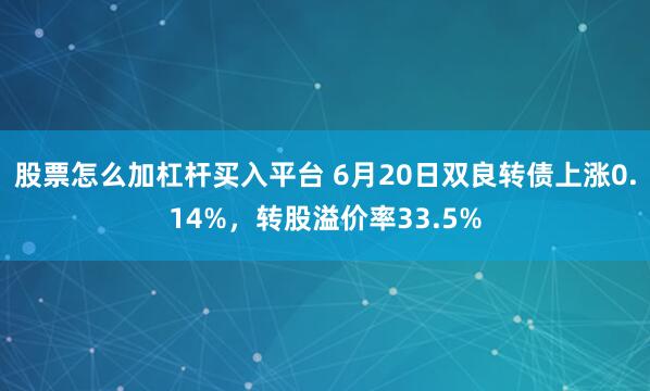 股票怎么加杠杆买入平台 6月20日双良转债上涨0.14%，转股溢价率33.5%